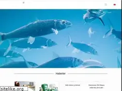 Sites similar to belkim.com