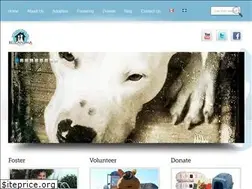 Sites similar to bellanima.org