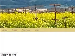 Sites similar to bellathese.com