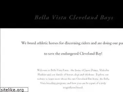 Sites similar to bellavistaclevelandbays.com