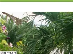 Sites similar to belleairpalms.com