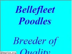 Sites similar to bellefleet.com