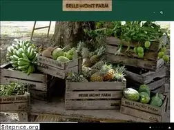 Sites similar to bellemontfarm.com