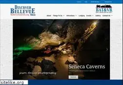 Sites similar to bellevuetourism.org