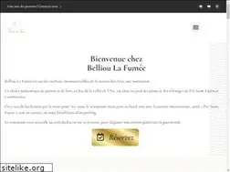Sites similar to bellioulafumee.fr