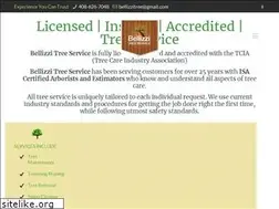 Sites similar to bellizzitreeservice.com