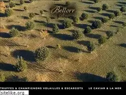 Sites similar to bellorr.com