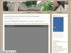 Sites similar to bellouletrichard.com