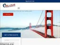 Sites similar to bellowsservice.com