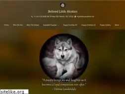Sites similar to belovedlittlehuskies.com