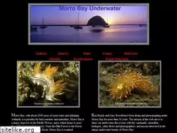 Sites similar to belowmorrobay.com