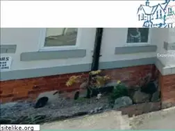 Sites similar to belperviews.co.uk