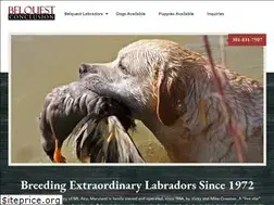Sites similar to belquestconclusion.com