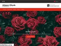 Sites similar to belsincicek.com