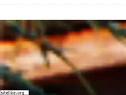 Sites similar to belugahotels.ro