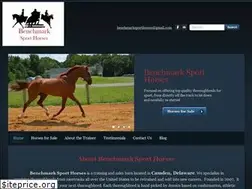 Sites similar to benchmarksporthorses.com