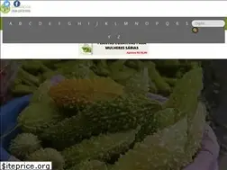 Sites similar to beneficiosdasplantas.com.br