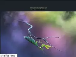 Sites similar to beneluxnaturephoto.net