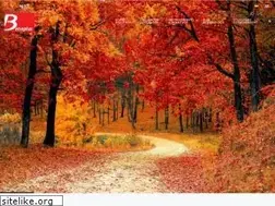 Sites similar to beneplus.cl