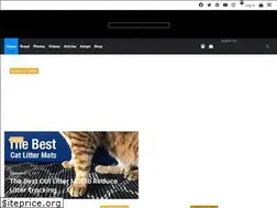 Sites similar to bengalcats.co