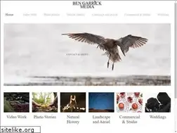 Sites similar to bengarrick.com