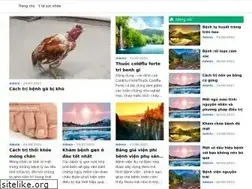 Sites similar to benh.edu.vn