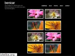 Sites similar to benicartabs.online