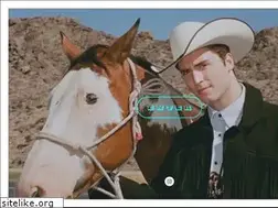 Sites similar to benitoskinner.com