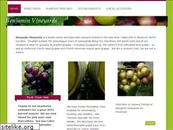 Sites similar to benjaminvineyards.com