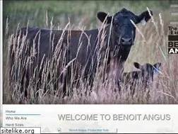 Sites similar to benoitangus.com