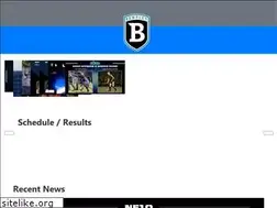 Sites similar to bentleyfalcons.com
