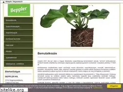 Sites similar to beppler.hu