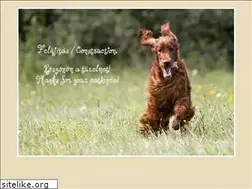 Sites similar to berboss.hu