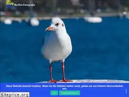Sites similar to berdin-fotografie.de