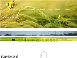 Sites similar to berenjegol.com
