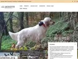 Sites similar to beretti.it