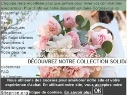 Sites similar to bergamotte.com