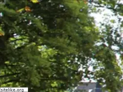 Sites similar to bergisches-heim.de