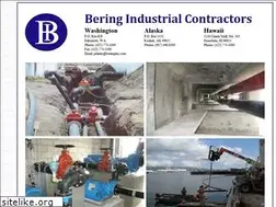 Sites similar to beringinc.com