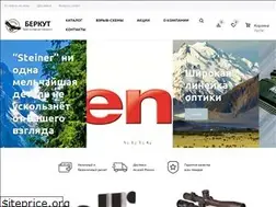 Sites similar to berkut.spb.ru