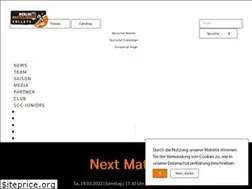 Sites similar to berlin-recycling-volleys.de