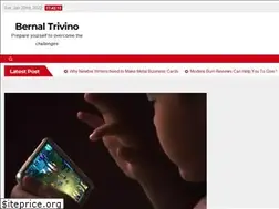 Sites similar to bernaltrivino.com