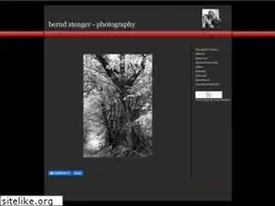 Sites similar to bernd-stenger.de