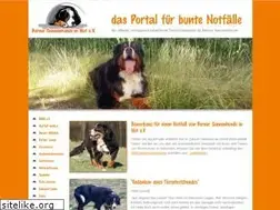 Sites similar to berner-sennenhunde-in-not.de