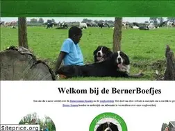 Sites similar to bernerboefjes.nl