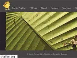 Sites similar to berniepeyton.com