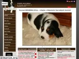 Sites similar to bernsky-honic.cz