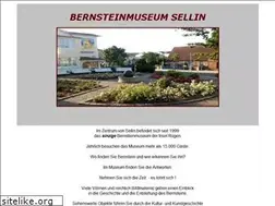 Sites similar to bernsteinmuseum-sellin.de