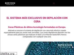 Sites similar to berodin.mx