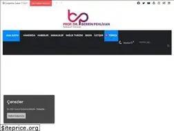 Sites similar to berrinpehlivan.com